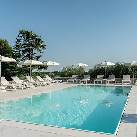 Verdeolivo 1876 - Apartments & Pool Mezzane di Sotto Εξωτερικό φωτογραφία