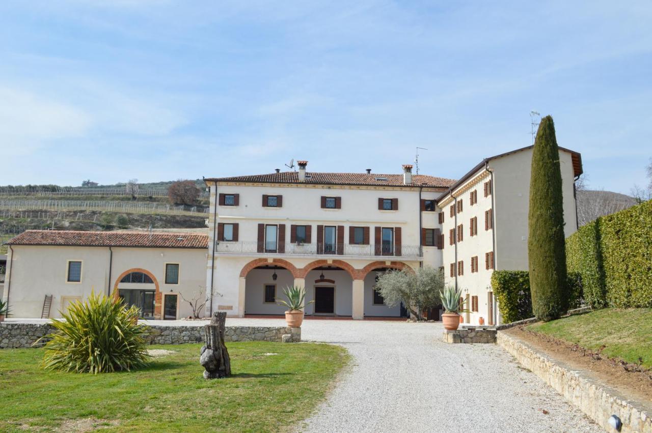 Verdeolivo 1876 - Apartments & Pool Mezzane di Sotto Εξωτερικό φωτογραφία
