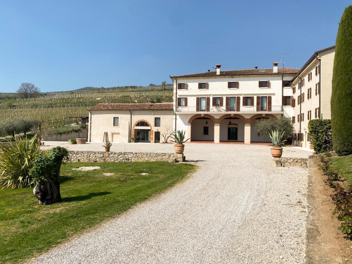 Verdeolivo 1876 - Apartments & Pool Mezzane di Sotto Εξωτερικό φωτογραφία